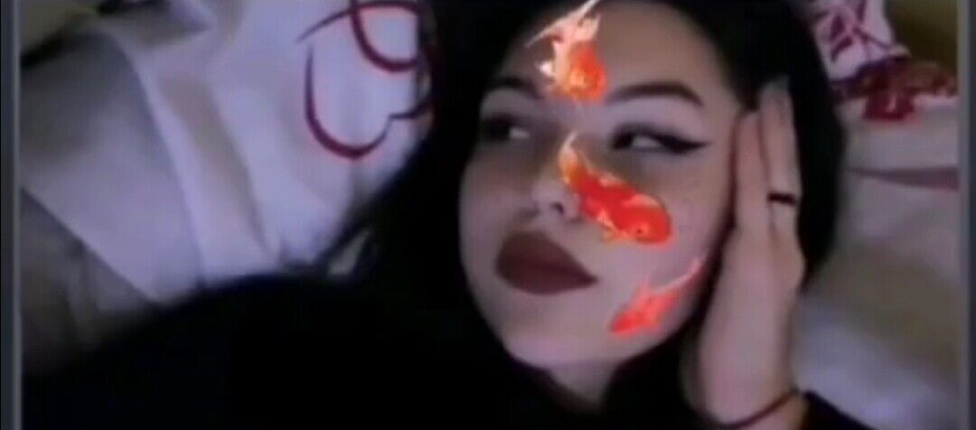 ���� 22322551 ������� ����, 25 ���, ���� ���������� � ��������