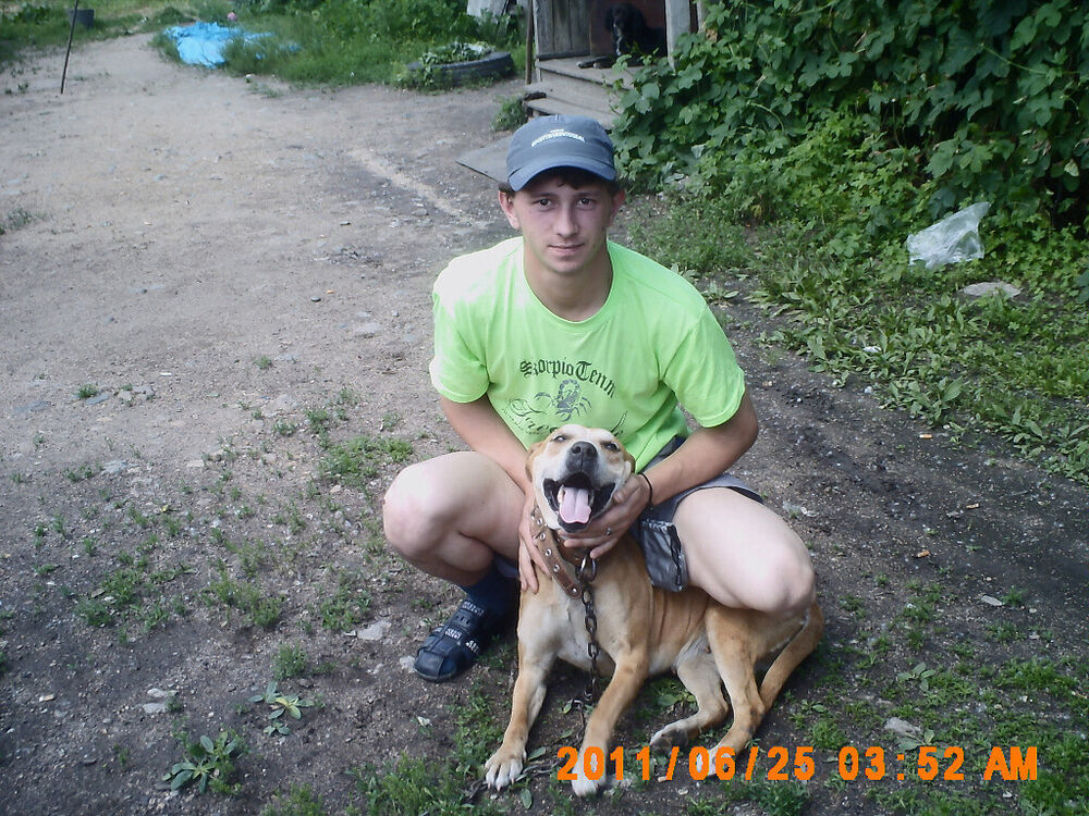 ���������� ������������, ���� ������� �������, 35 ���, ������������ ��� ������, ����� � ���������, c�������� ���������