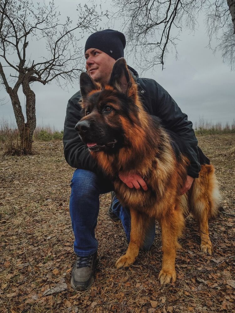 ���� 56455141 ������� �����, 36 ���, ���� ���������� � �������