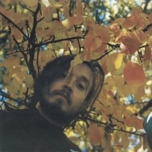 ���� 45068661 ����� ����, 19 ���, ���� ���������� � ��������