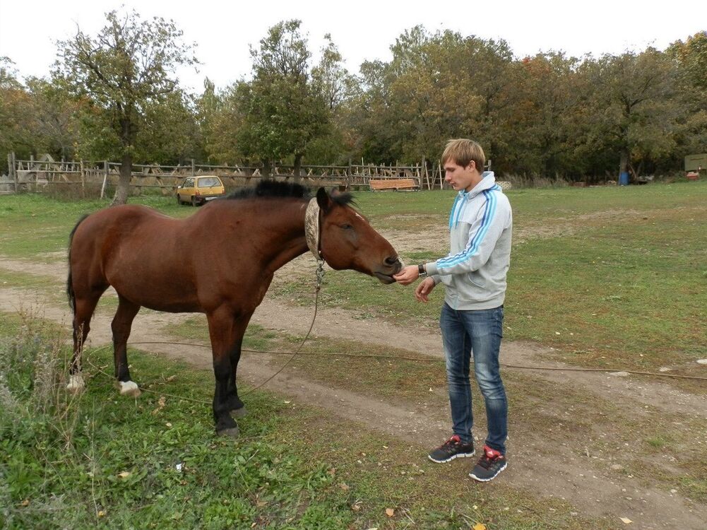 ���������� ��������, ���� ������� �������, 36 ���, ������������ ��� ������, ����� � ���������, c�������� ���������