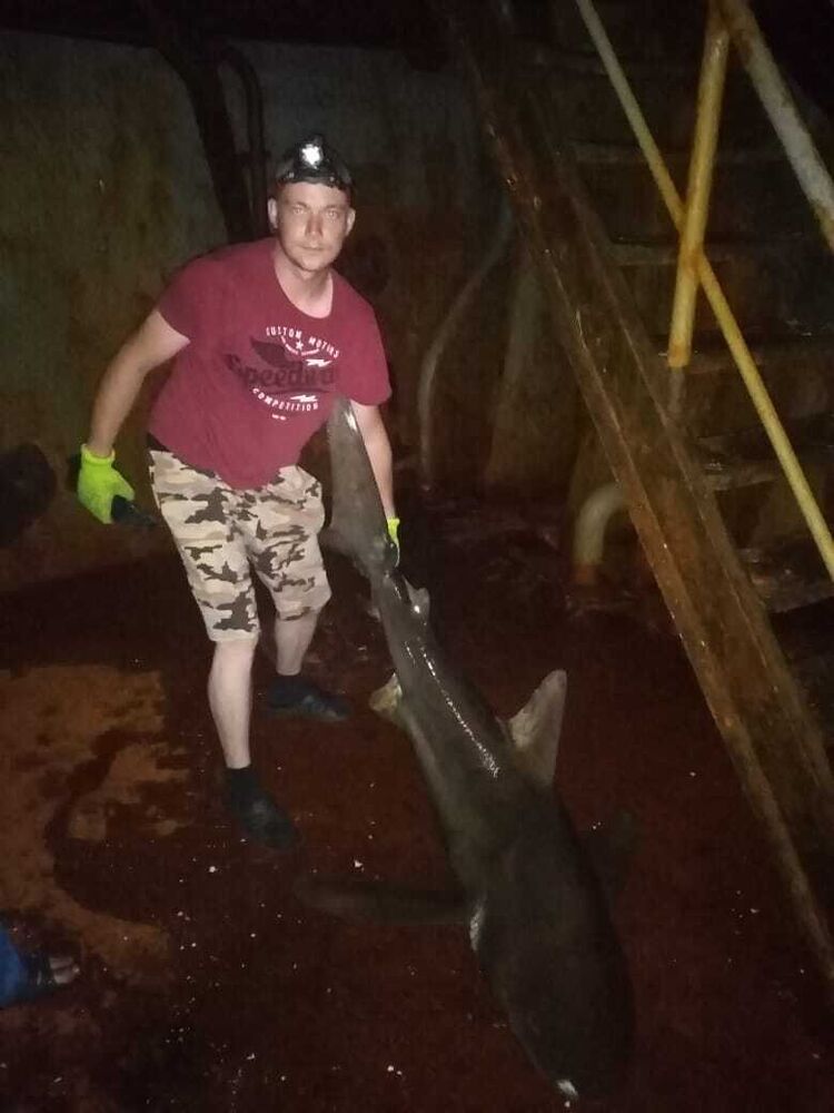  28291601  , 30 ,    