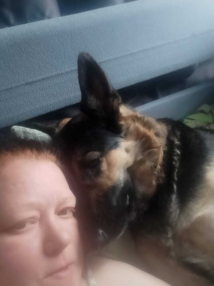 ���� 54809541 ������� �����, 45 ���, ���� ���������� � ������