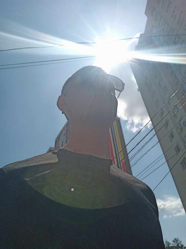  29016601  , 24 ,    