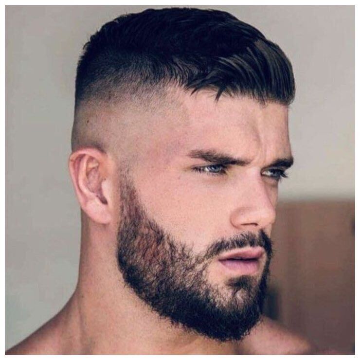 ���� 24955831 ������� �������, 27 ���, ���� ���������� � �������