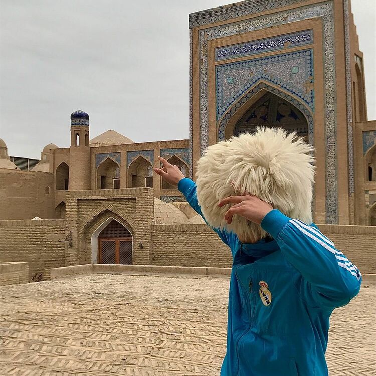 ���� 33483441 ����� Prins, 23 ����, ���� ���������� � �������