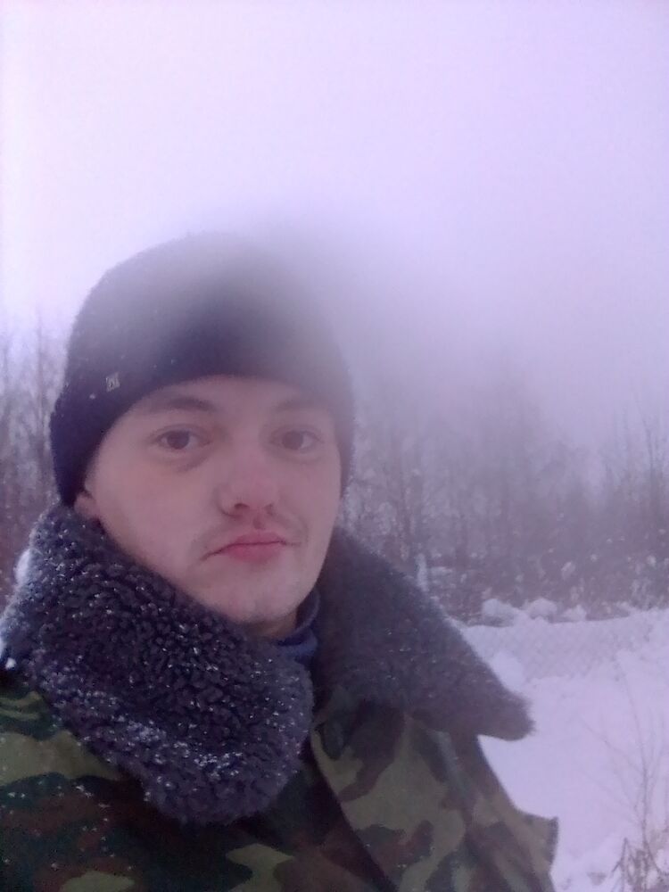  31366741  , 33 ,    -