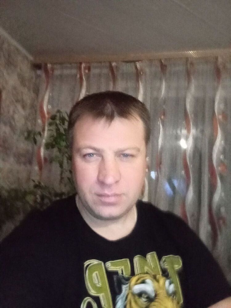  42281361  , 44 ,    