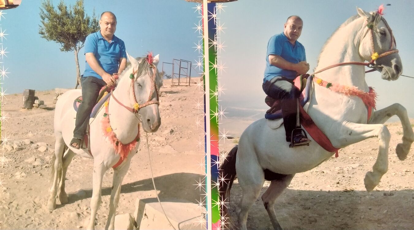 ���������� �������, ���� ������� �������, 50 ���, ������������ ��� ����� � ���������, c�������� ���������, ���������