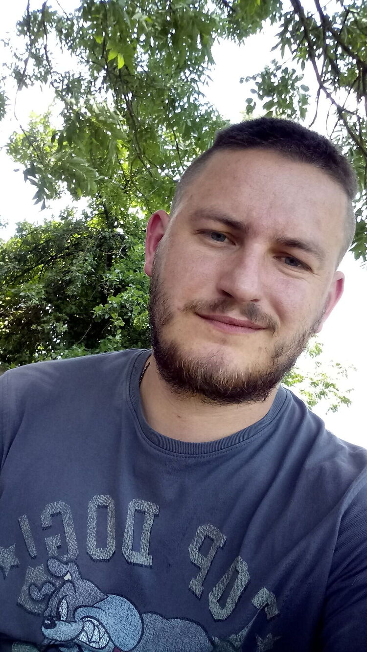  36582681  , 29 ,    