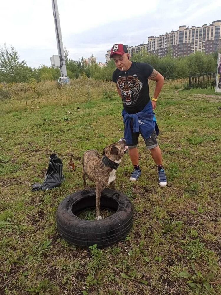 ���������� �����-���������, ���� ������� Serj, 39 ���, ������������ ��� ������, ����� � ���������, c�������� ���������