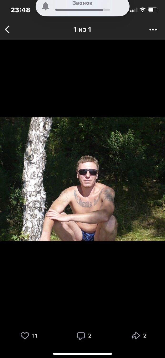 ���� 33301281 ������� �����, 42 ����, ���� ���������� � �������������