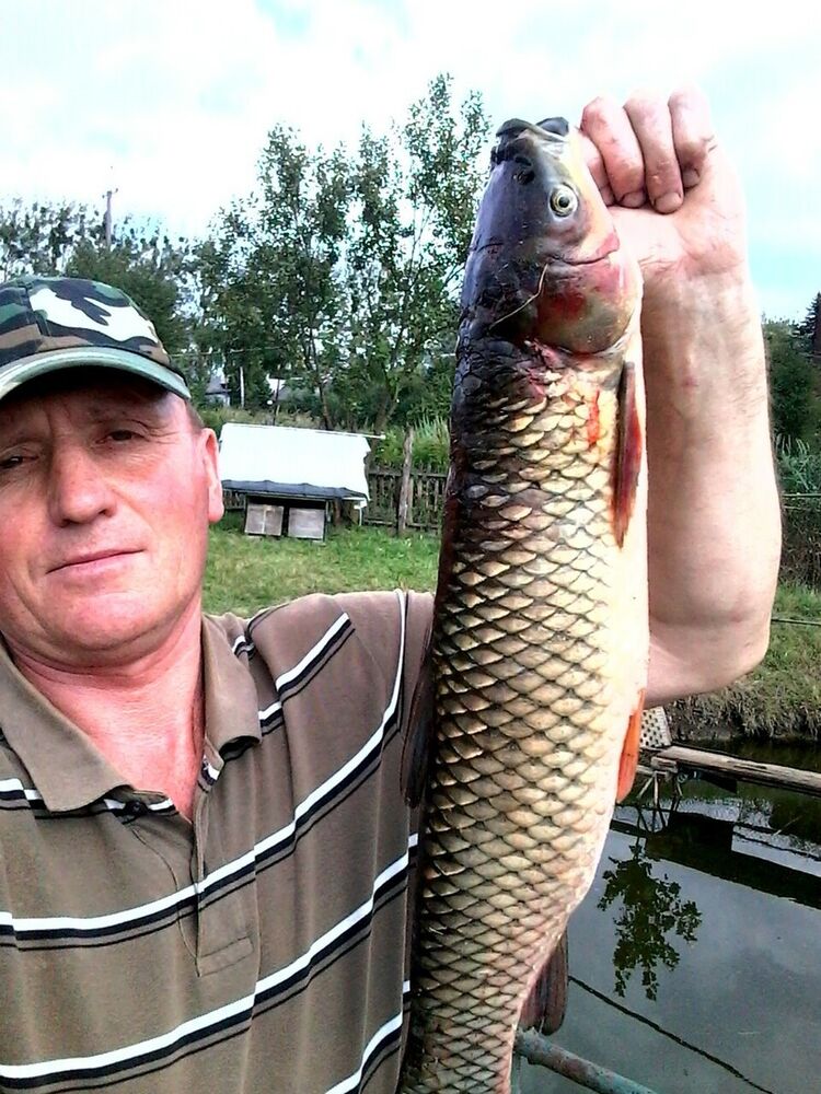  ,   , 51 ,     , c , 
