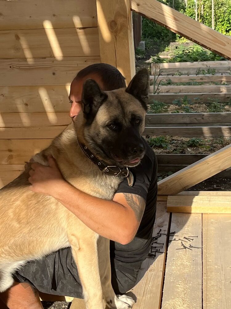 ���� 36242901 ������� �����, 36 ���, ���� ���������� � ������