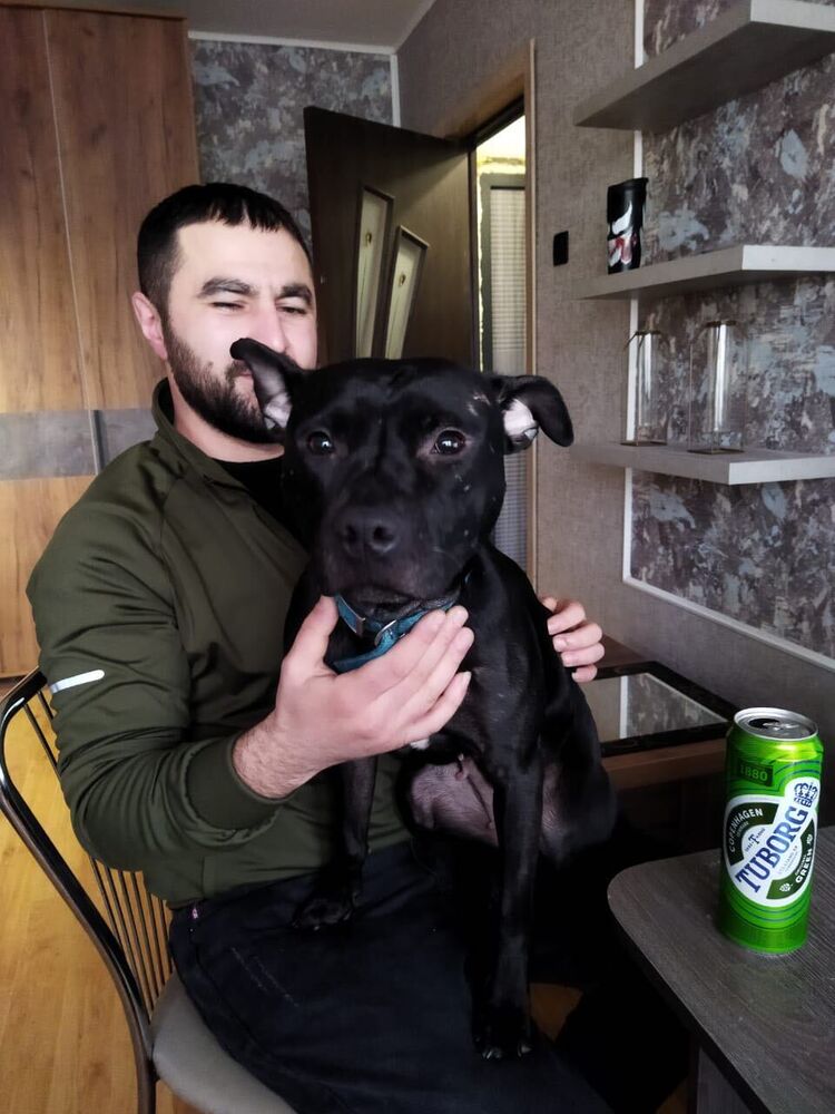 ���������� �����-���������, ���� ������� �����, 34 ����, ������������ ��� ������, ����� � ���������, c�������� ���������