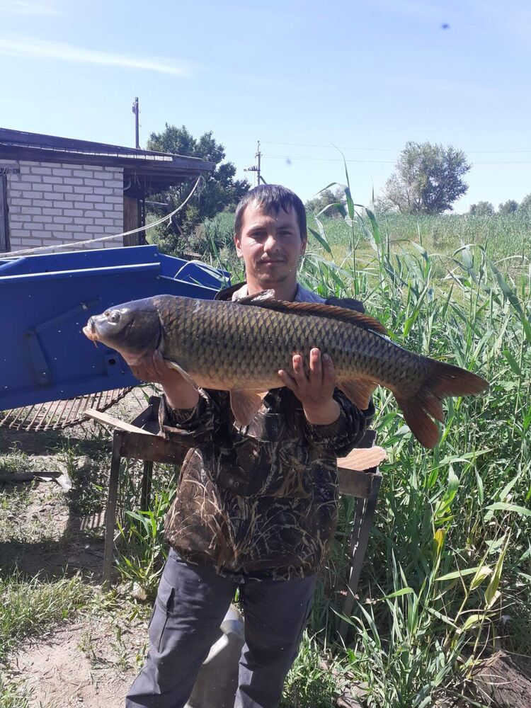 ���������� �����, ���� ������� ������, 32 ����, ������������ ��� ������, ����� � ���������