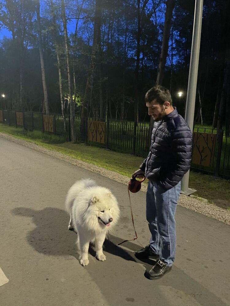 ���� 26539041 ������� ���, 29 ���, ���� ���������� � ���������