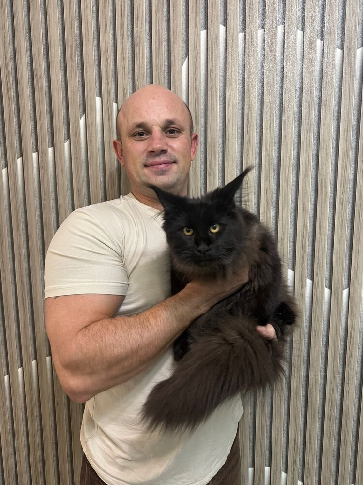  54692581  , 41 ,    --