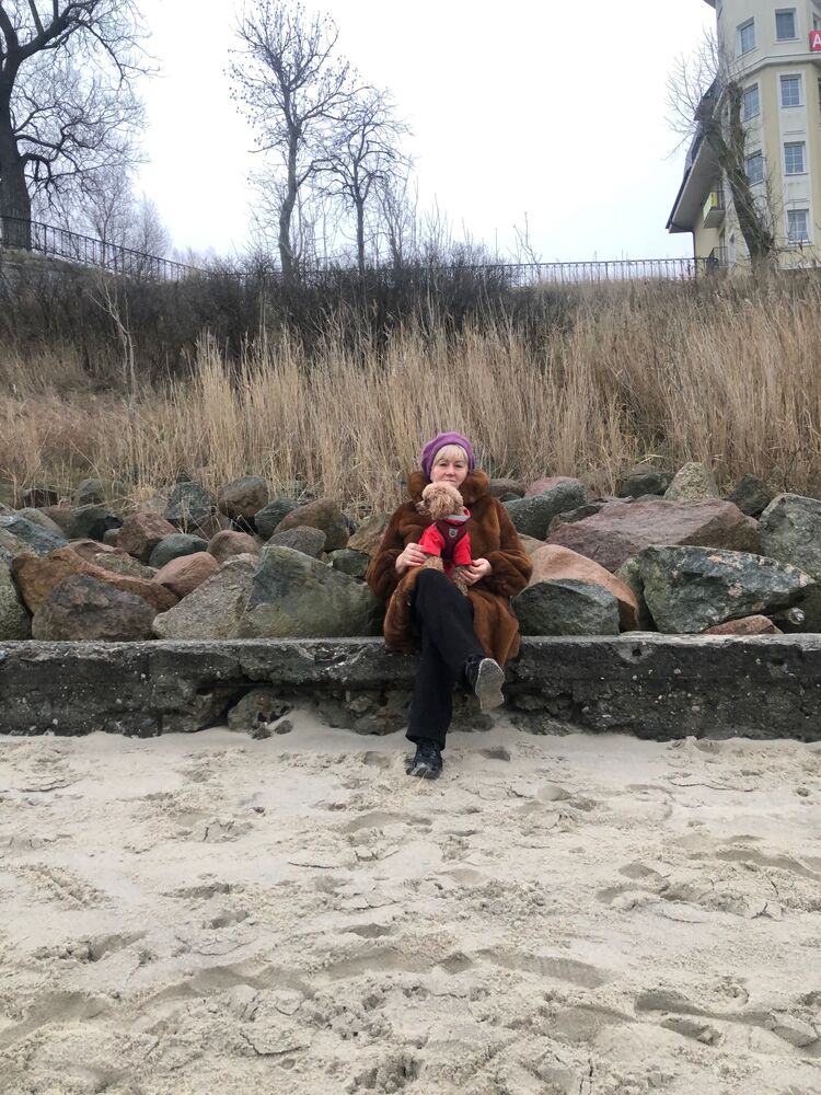 ���������� �����������, ���� ������� �������, 66 ���, ������������ ��� ������, ����� � ���������