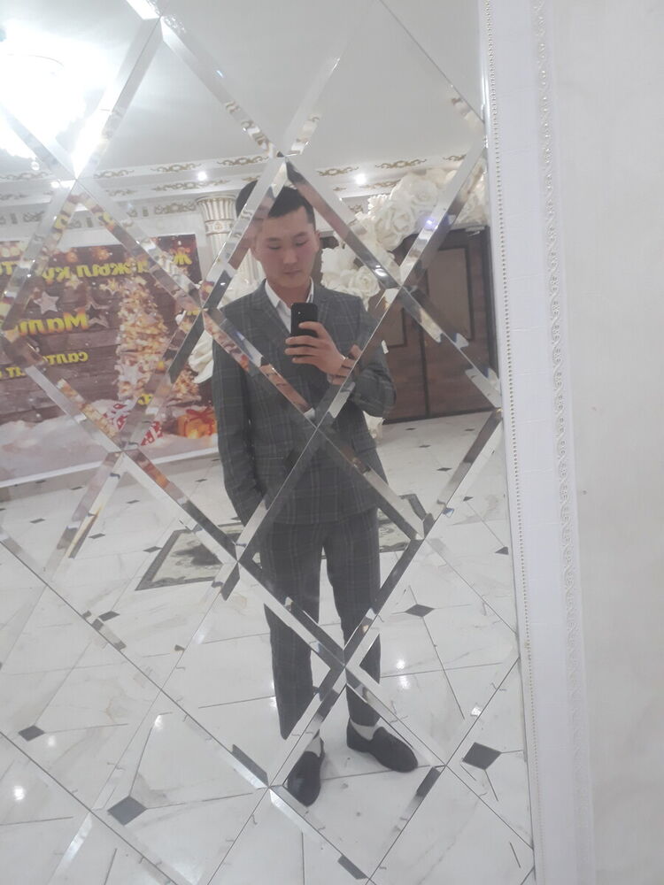  20381501  , 29 ,    