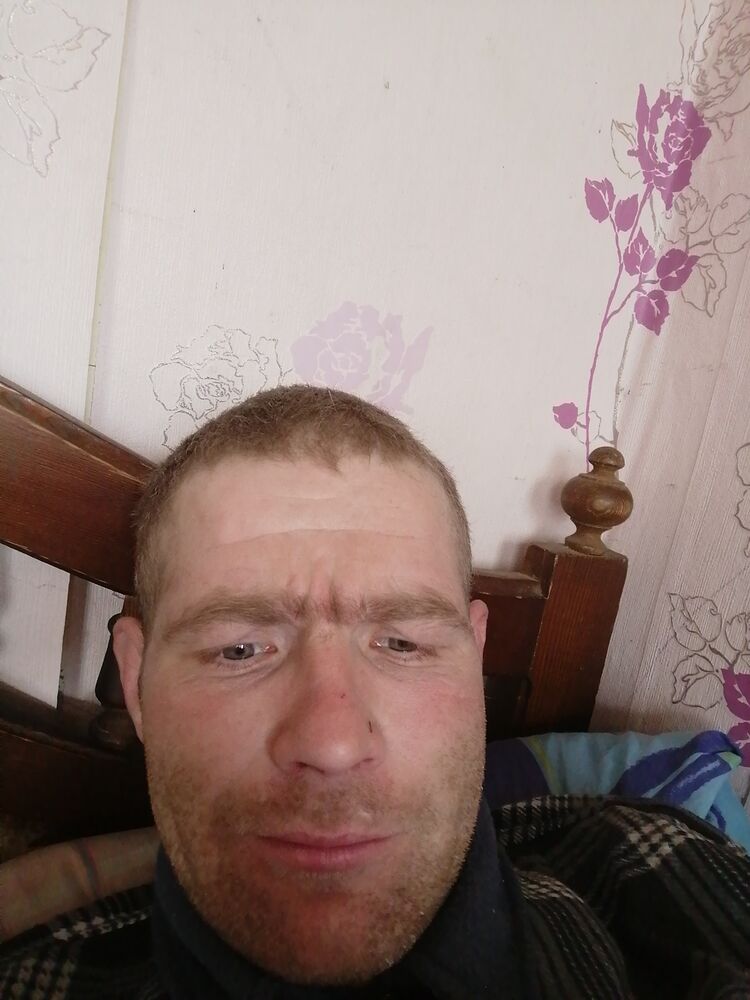 ���� 23023331 ������� �������, 36 ���, ���� ���������� � ��������