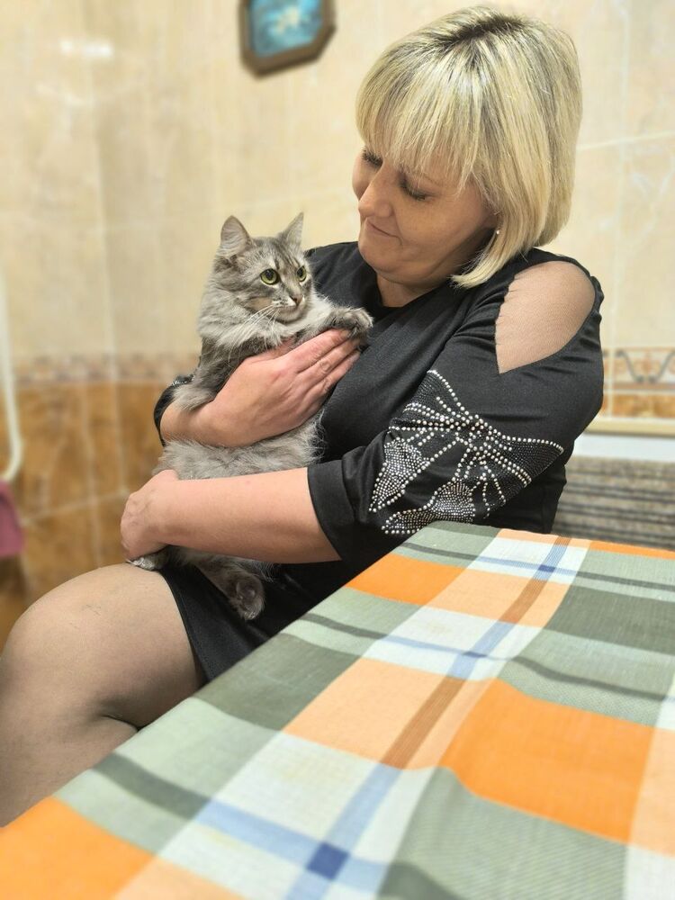  51557001  , 49 ,    --