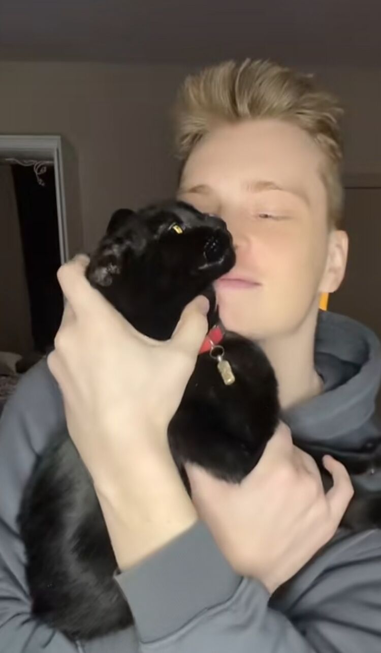 ���� 33748121 ������� Dan, 28 ���, ���� ���������� � ������