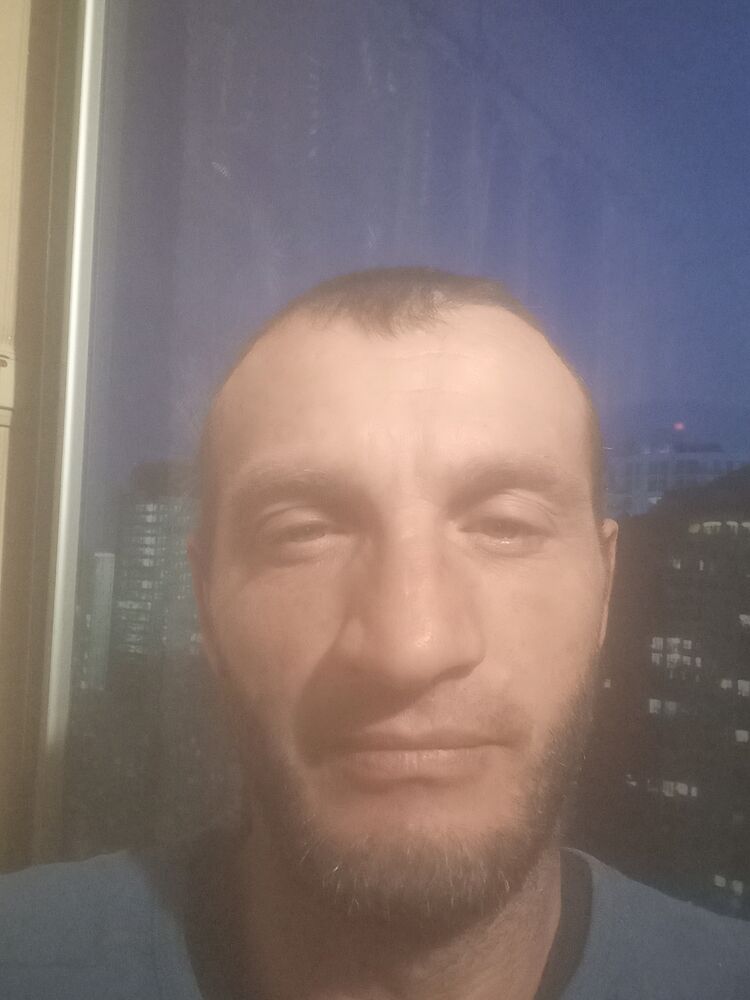  38915811  , 41 ,    