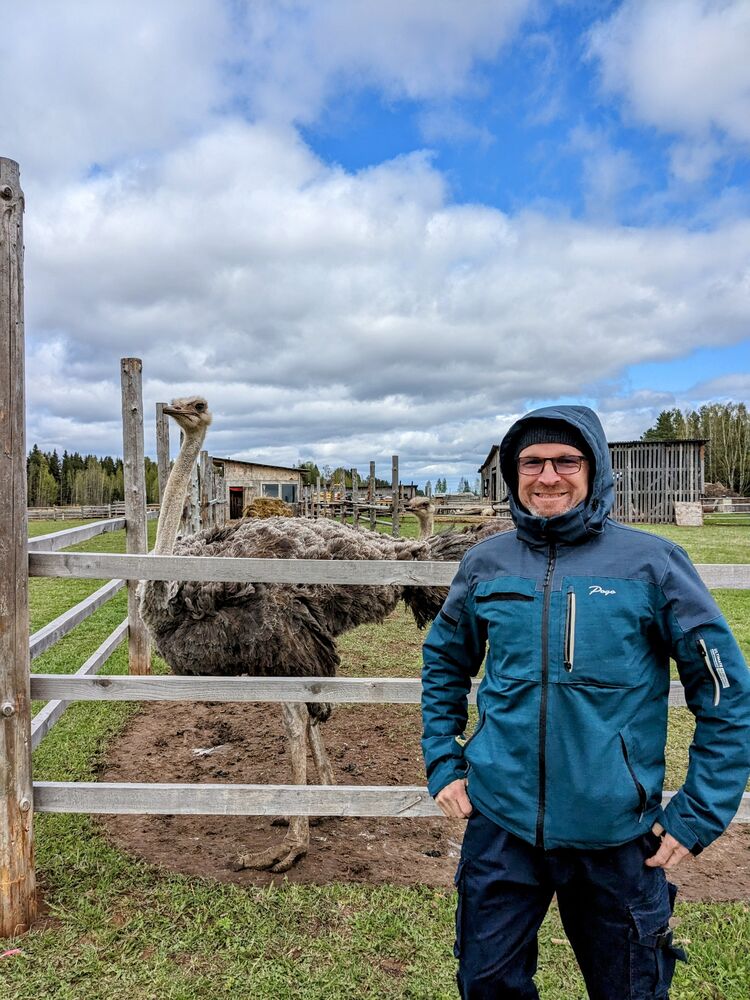 ���������� ������, ���� ������� ����, 45 ���, ������������ ��� c�������� ���������