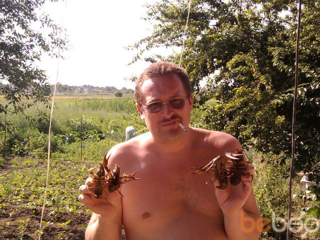  ,   , 47 ,   