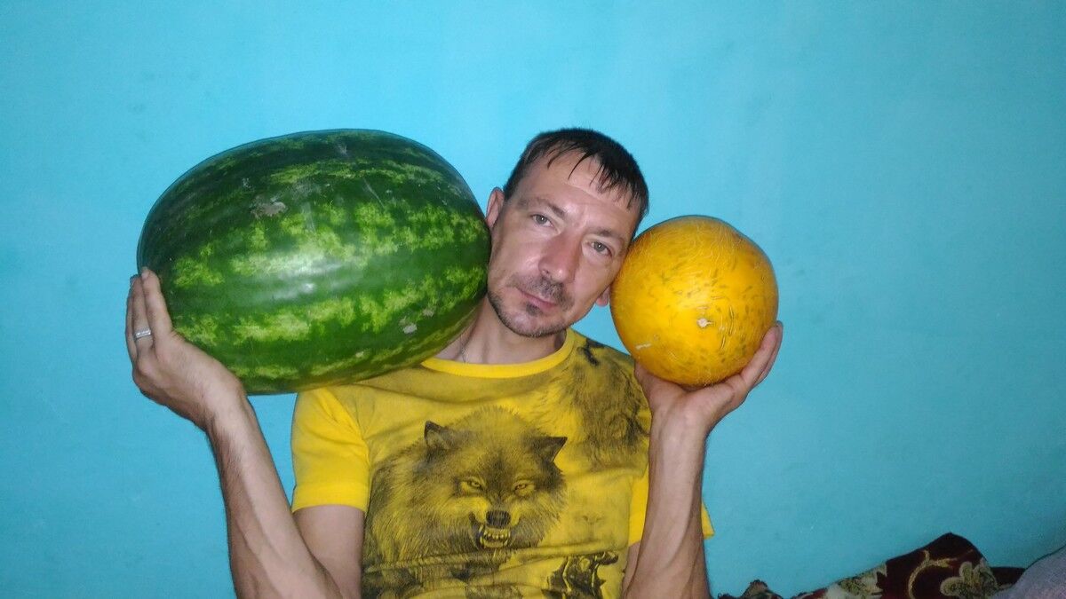  14456791  , 47 ,    