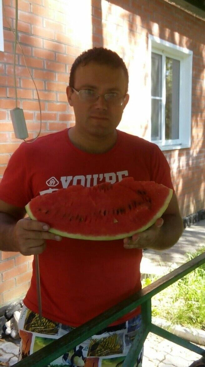 ���������� ������, ���� ������� �����, 44 ����, ������������ ��� ������, ����� � ���������, c�������� ���������