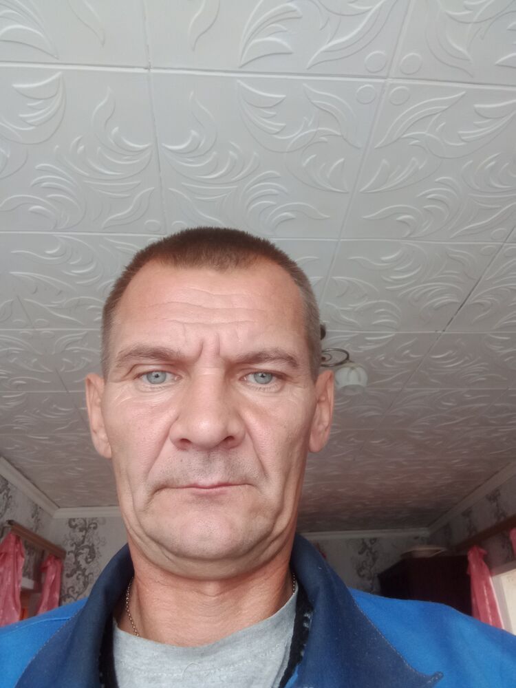  46315541  , 43 ,    