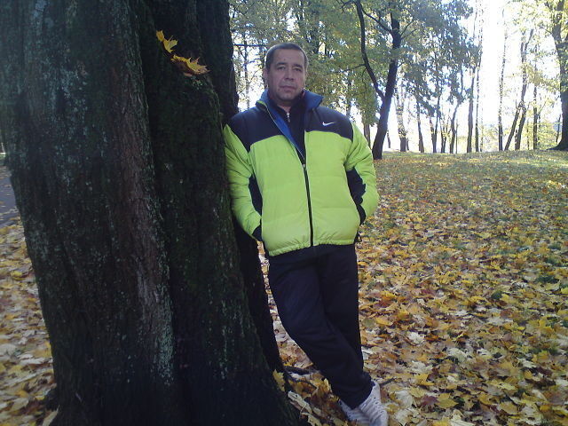  9331051  Juris, 62 ,    