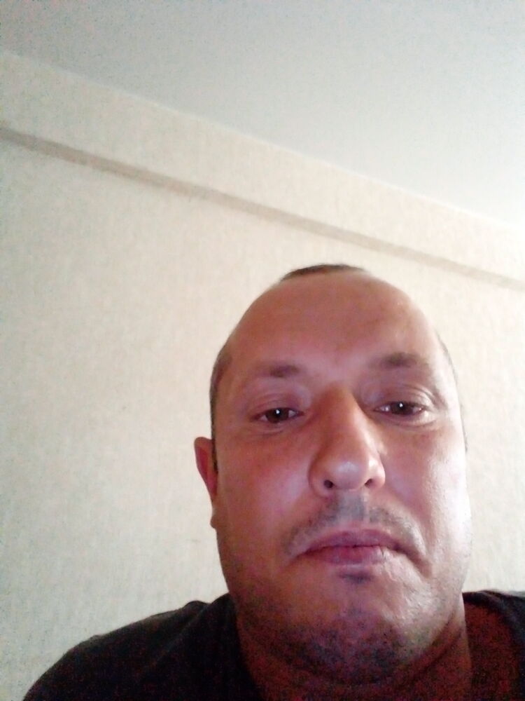  36329341  , 40 ,    