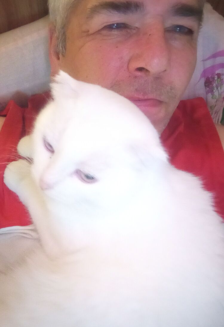 ���������� ��������, ���� ������� Albert, 58 ���, ������������ ��� ����� � ���������, c�������� ���������