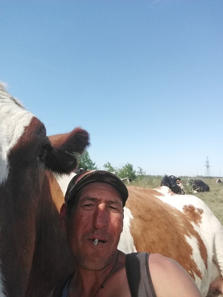 ���� 56210531 ������� ����, 37 ���, ���� ���������� � ���������� ������