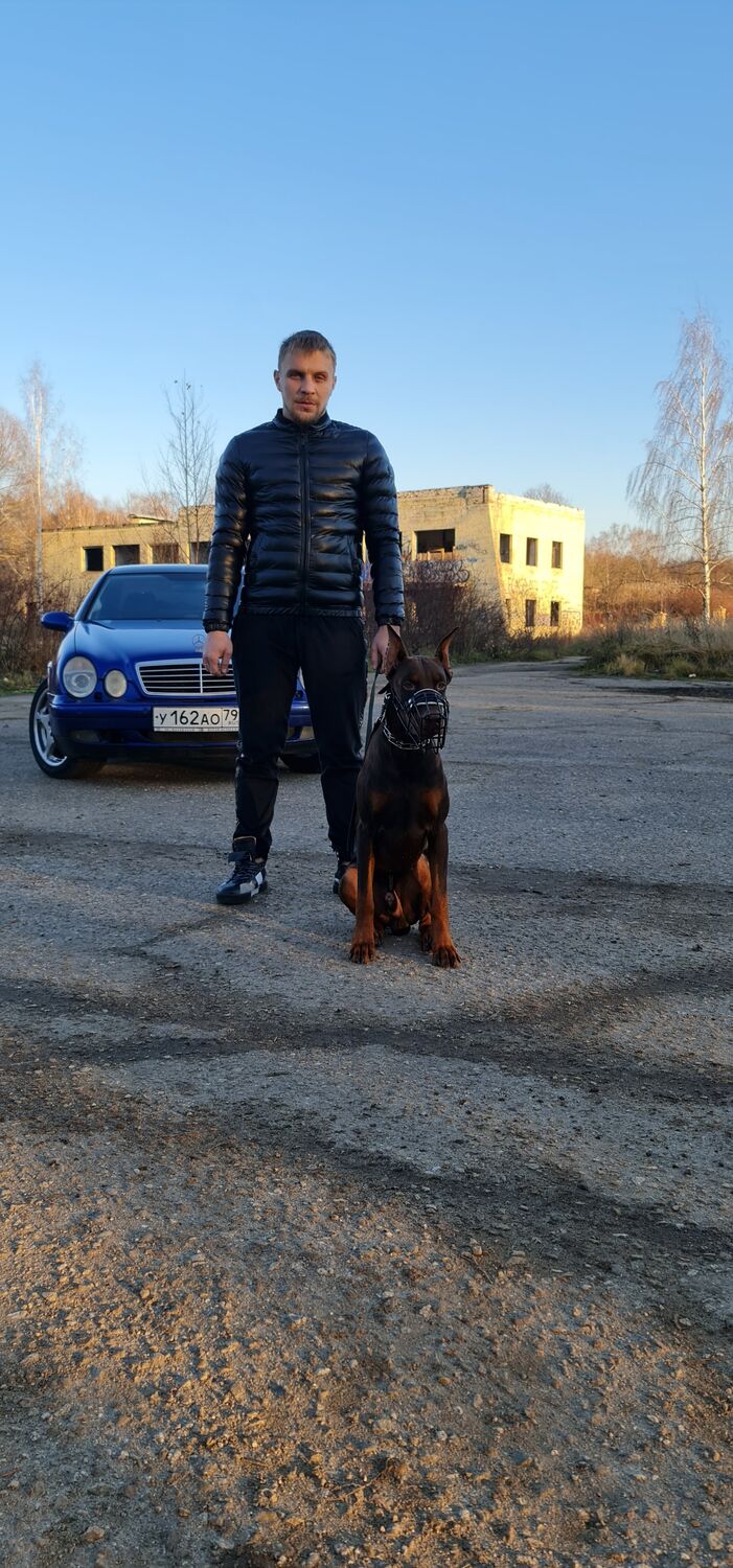 ���������� ������, ���� ������� Alex, 32 ����, ������������ ��� c�������� ���������, ���������