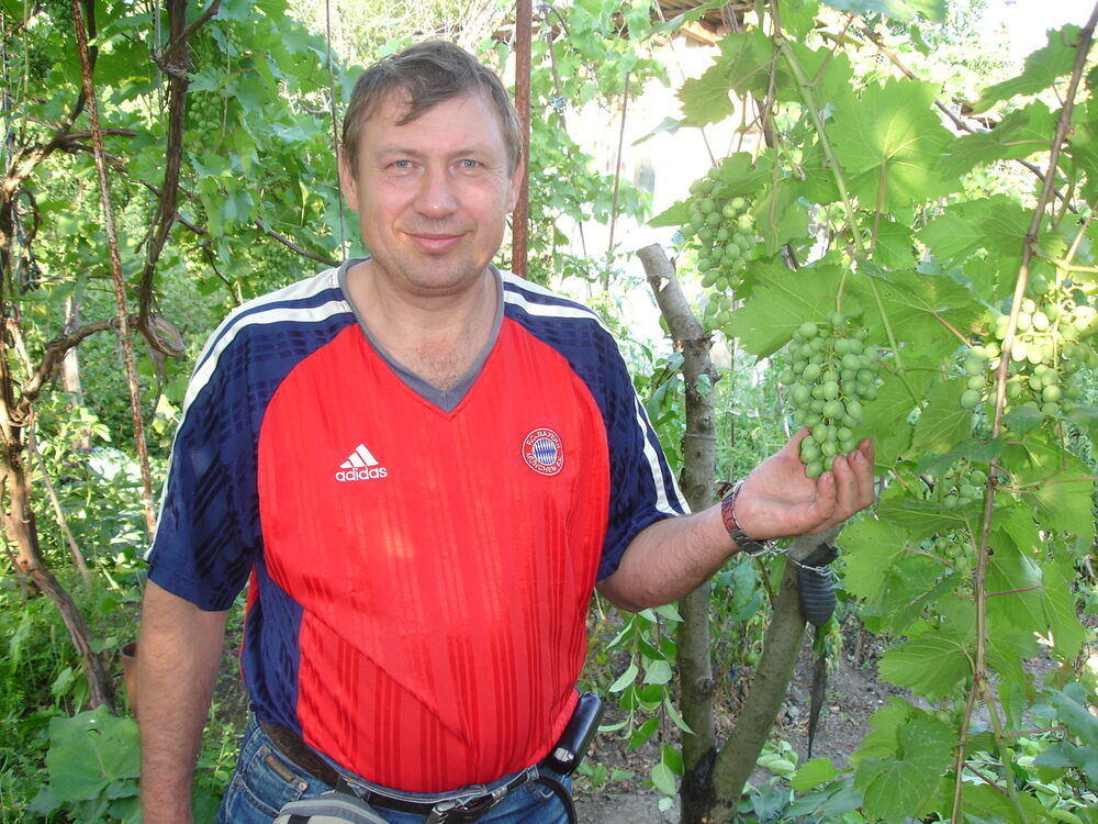 ���� 5266231 ������� ������, 51 ���, ���� ���������� � ����������