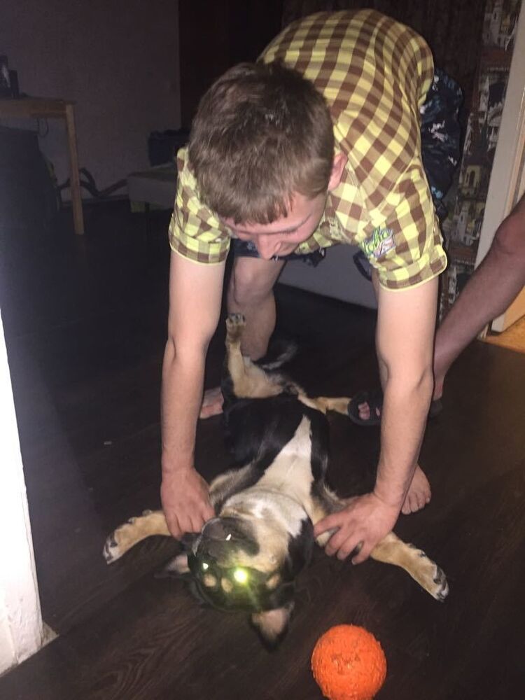 ���������� ������, ���� ������� ������, 33 ����, ������������ ��� ������, ����� � ���������, c�������� ���������