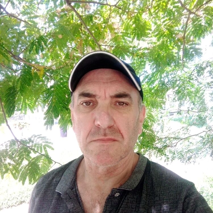 ���� 55428031 ������� ������, 51 ���, ���� ���������� � ����������