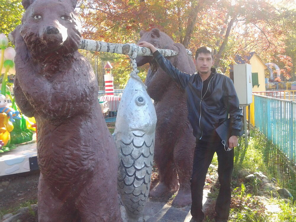  4530381  , 40 ,    -