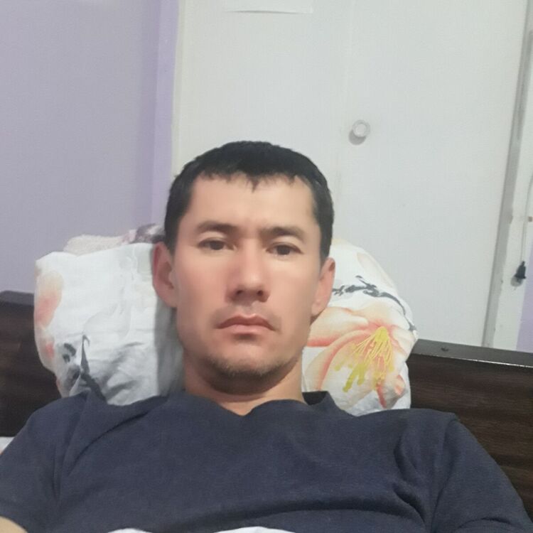 ���� 22365291 ������� ����, 36 ���, ���� ���������� � �������