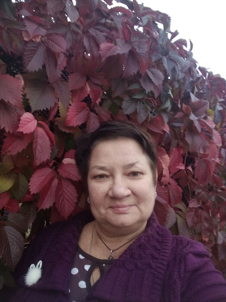 ���� 54064731 ������� �����, 60 ���, ���� ���������� � ���������