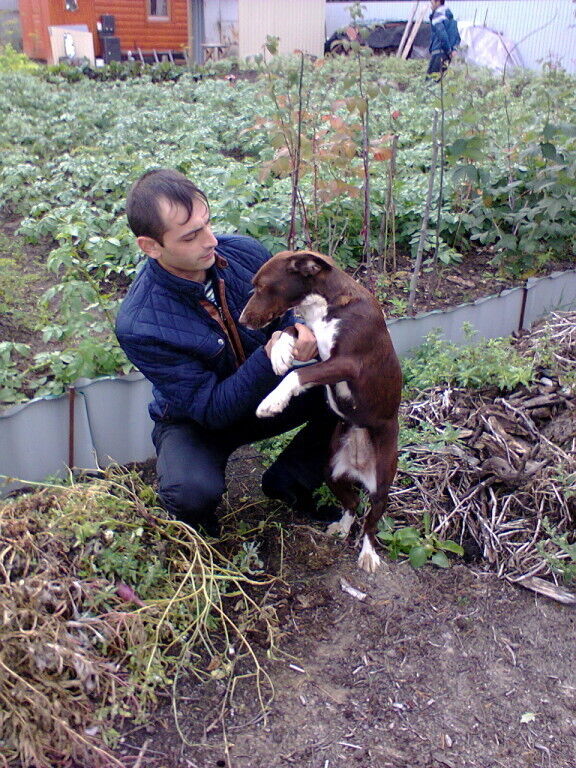 ���������� ������, ���� ������� ����, 41 ���, ������������ ��� ������, ����� � ���������, c�������� ���������