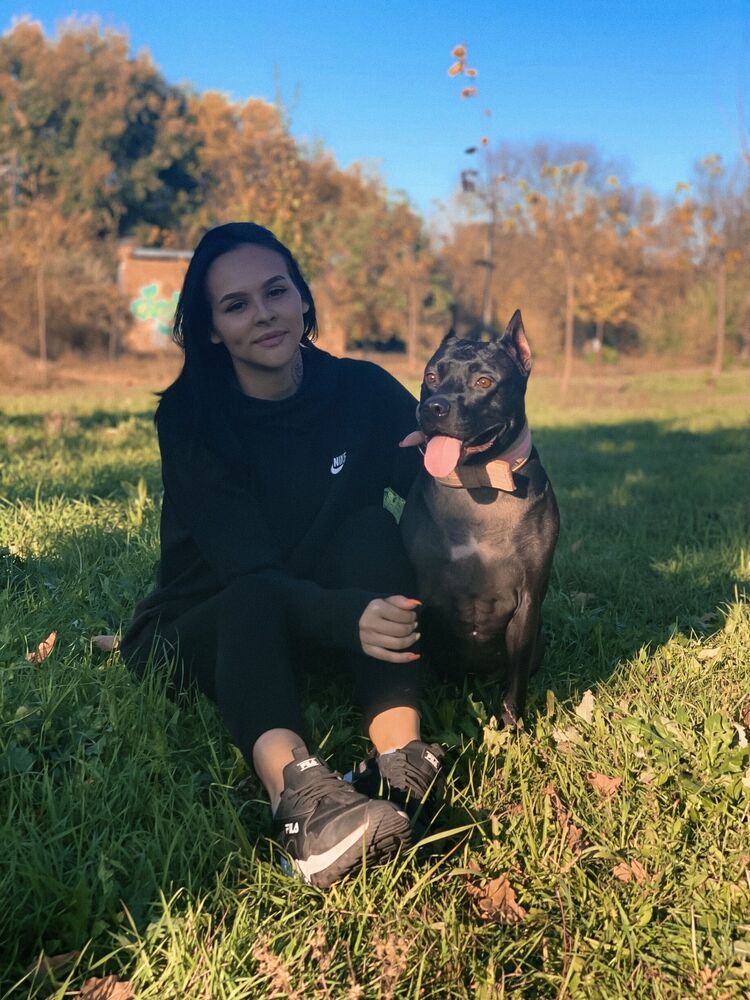 ���������� ������-��-����, ���� ������� ���������, 27 ���, ������������ ��� ���������