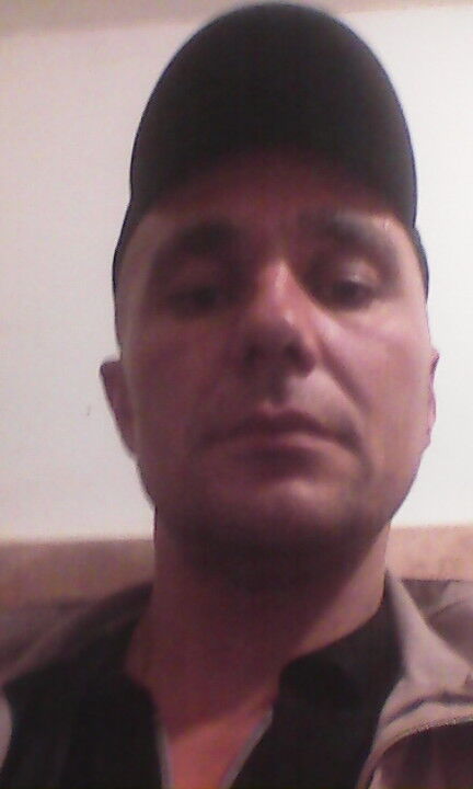  8206751  , 50 ,    