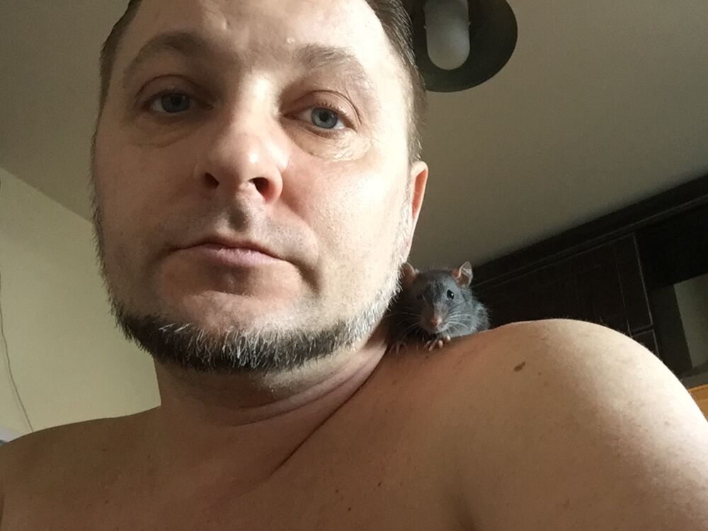 ���������� ������, ���� ������� �����, 43 ����, ������������ ��� ������, ����� � ���������