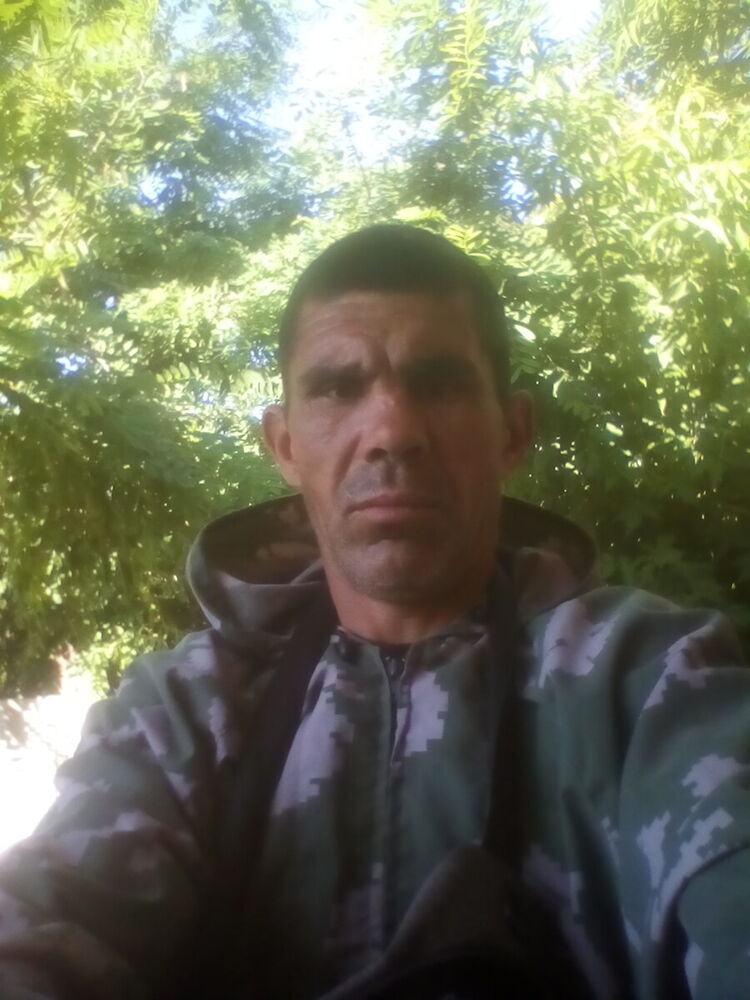  20306131  , 46 ,    