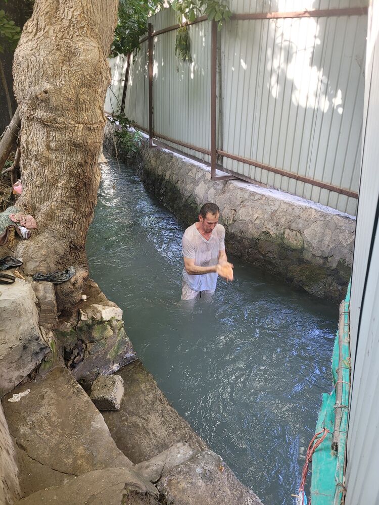 ���������� ������, ���� ������� ��������, 38 ���, ������������ ��� ������, ����� � ���������